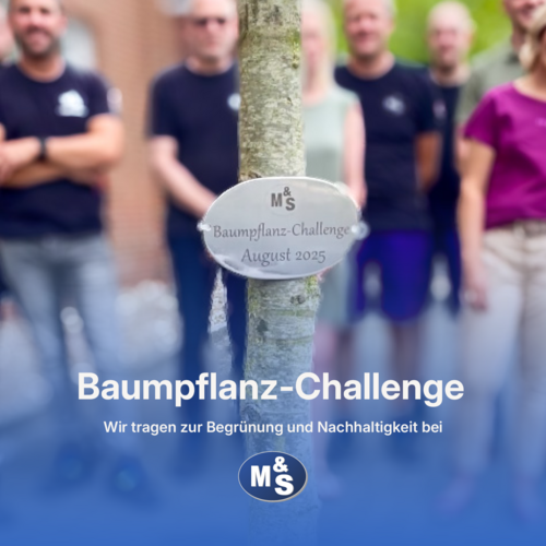 Newly planted tree with tree plaque. Text on the tree plaque: “Tree Planting Challenge August 2025.” Employees are standing in the background.