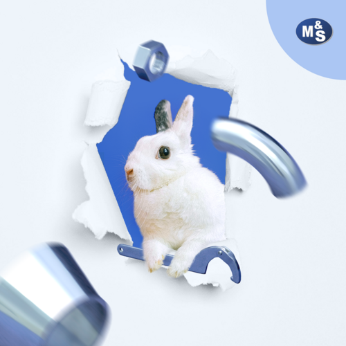 Fotokollage eines Hasens, der Werkzeug in der Hand hält